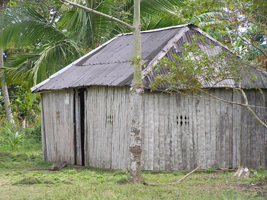 Palma Marrachada